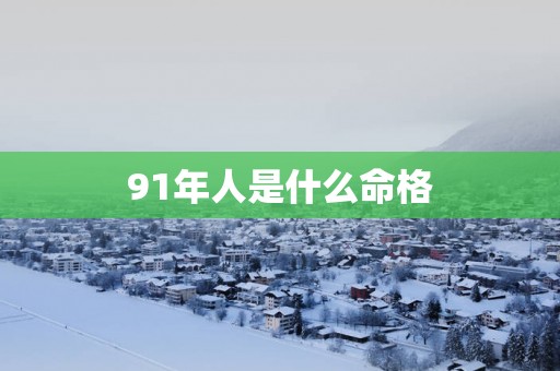 91年人是什么命格