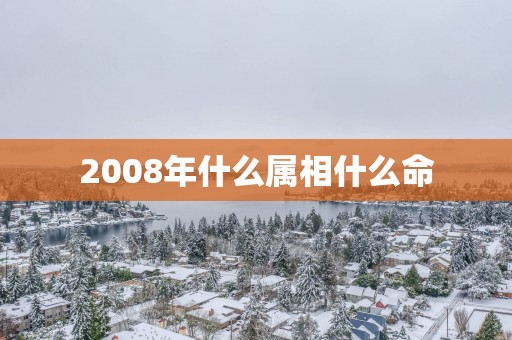 2008年什么属相什么命