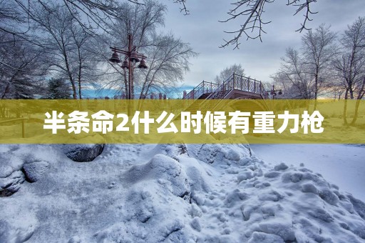 半条命2什么时候有重力枪