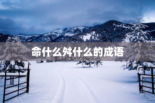 命什么舛什么的成语