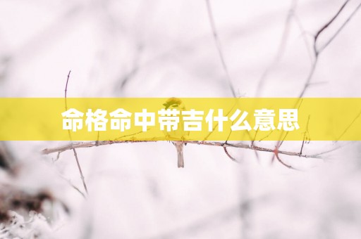 命格命中带吉什么意思