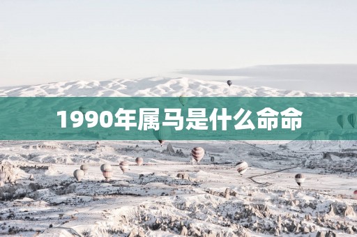 1990年属马是什么命命