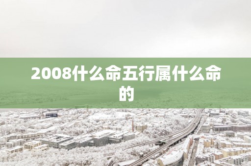 2008什么命五行属什么命的