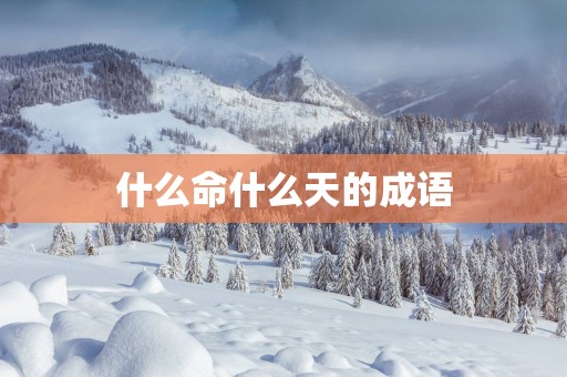什么命什么天的成语
