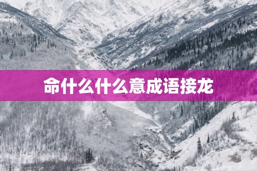 命什么什么意成语接龙