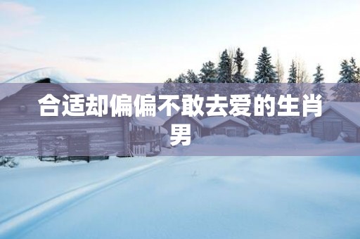 合适却偏偏不敢去爱的生肖男