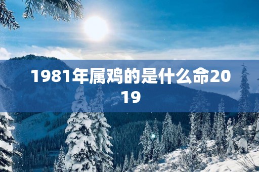 1981年属鸡的是什么命2019
