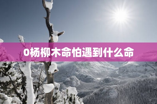 0杨柳木命怕遇到什么命
