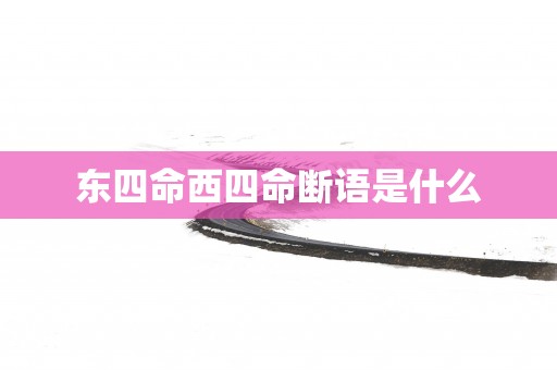 东四命西四命断语是什么