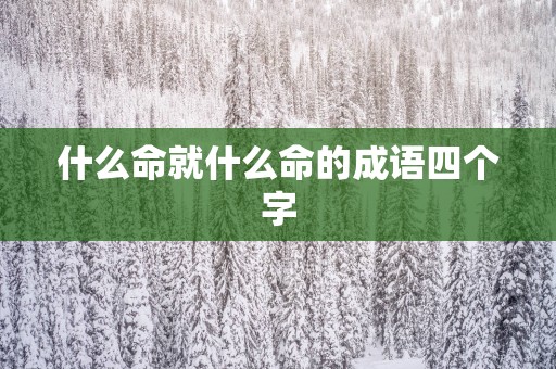 什么命就什么命的成语四个字