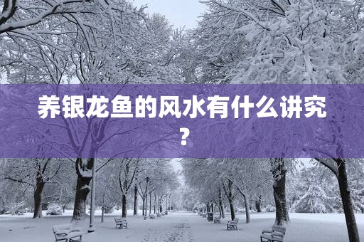 养银龙鱼的风水有什么讲究？