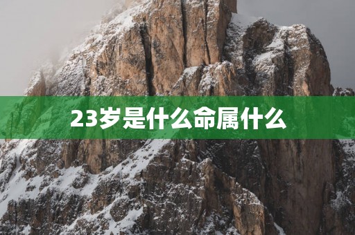 23岁是什么命属什么