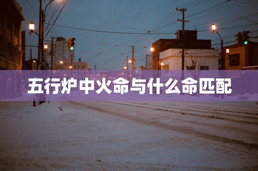 五行炉中火命与什么命匹配