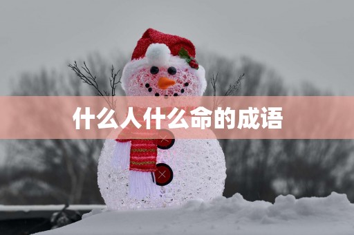 什么人什么命的成语