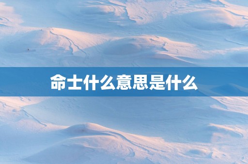 命士什么意思是什么