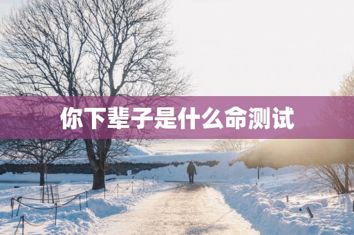 你下辈子是什么命测试