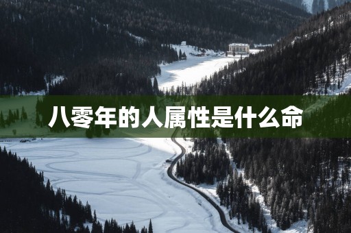 八零年的人属性是什么命