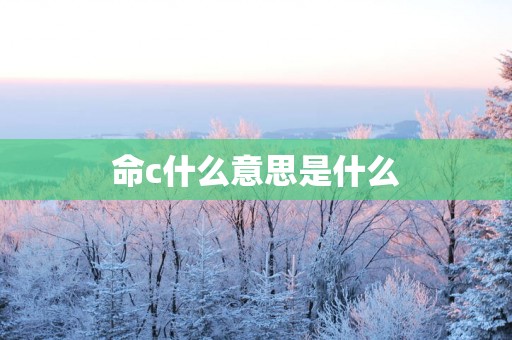 命c什么意思是什么