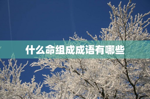 什么命组成成语有哪些