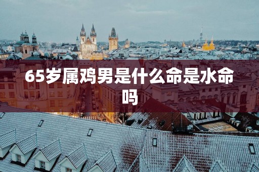 65岁属鸡男是什么命是水命吗