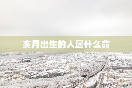 亥月出生的人属什么命