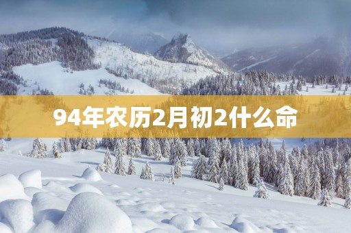 94年农历2月初2什么命