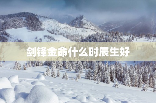剑锋金命什么时辰生好
