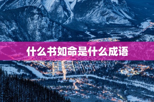 什么书如命是什么成语