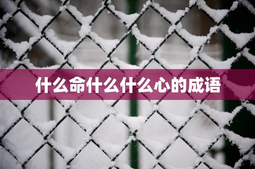 什么命什么什么心的成语