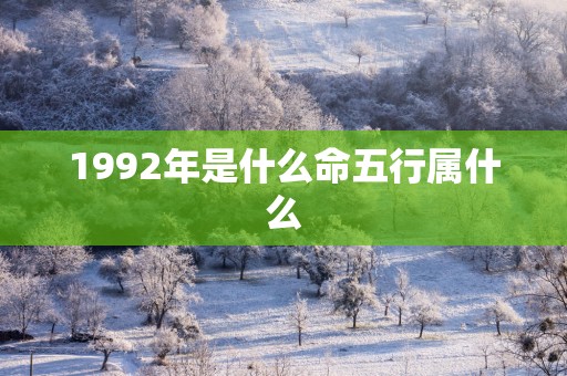 1992年是什么命五行属什么
