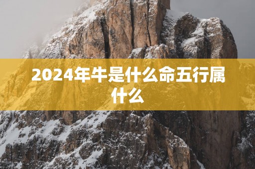 2025年牛是什么命五行属什么