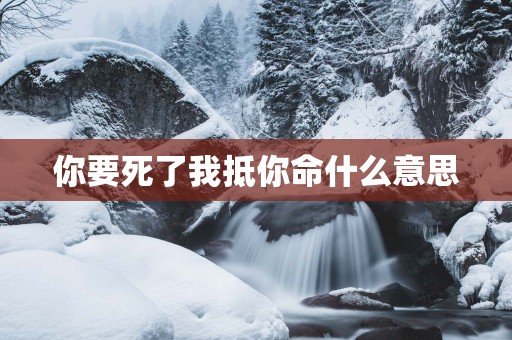 你要死了我抵你命什么意思