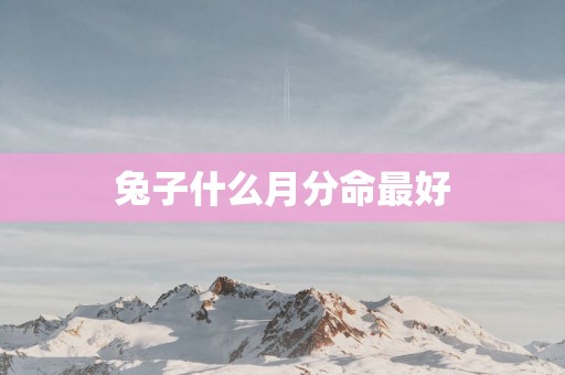兔子什么月分命最好