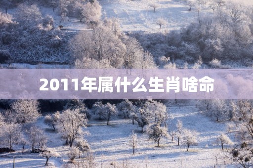 2011年属什么生肖啥命