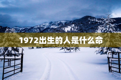 1972出生的人是什么命
