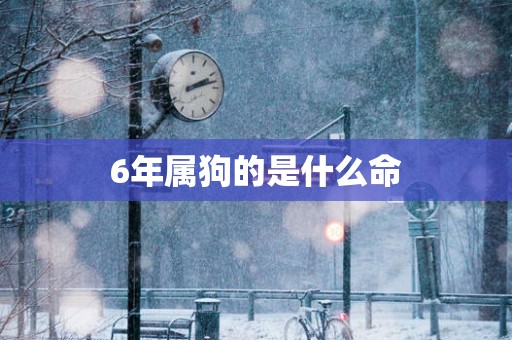 6年属狗的是什么命