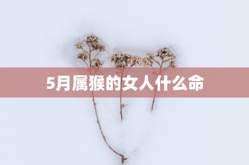 5月属猴的女人什么命