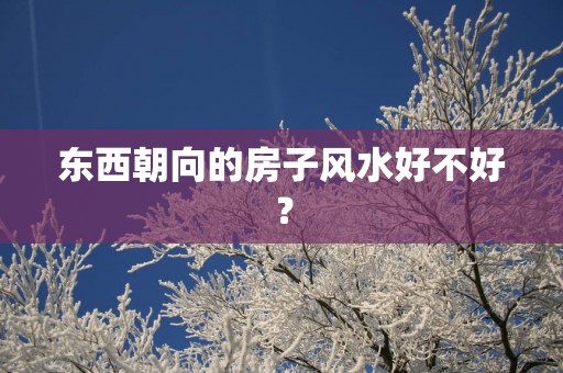 东西朝向的房子风水好不好？