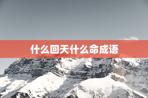 什么回天什么命成语