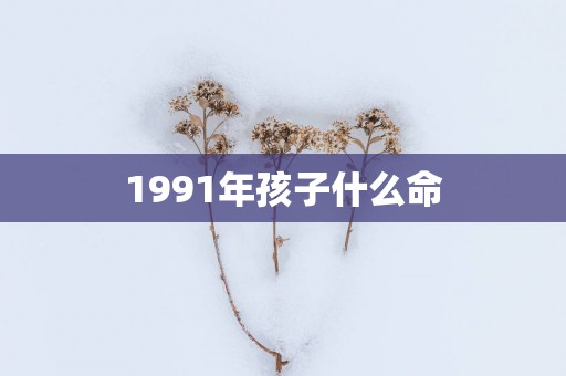 1991年孩子什么命