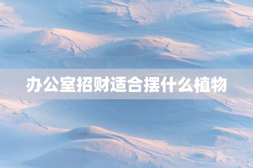 办公室招财适合摆什么植物