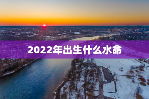 2025年出生什么水命