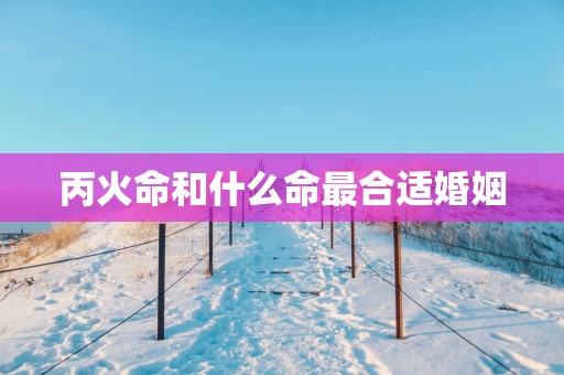 丙火命和什么命最合适婚姻