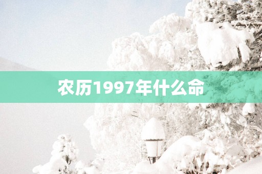 农历1997年什么命