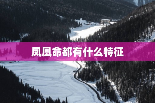 凤凰命都有什么特征