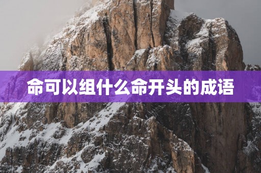 命可以组什么命开头的成语
