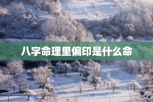 八字命理里偏印是什么命