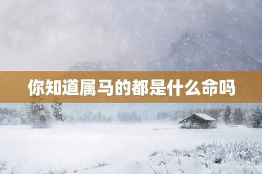你知道属马的都是什么命吗