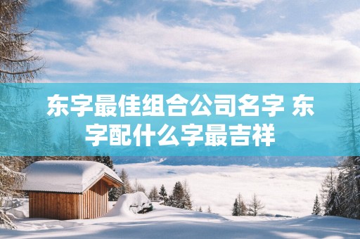东字最佳组合公司名字 东字配什么字最吉祥