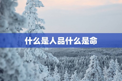 什么是人品什么是命